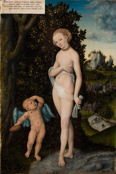 Venus con Cupido robando miel de Lucas Cranach the Elder